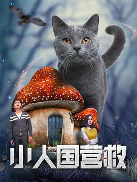 即使有看不懂的部分，也并不重要——重要的是去感受、去体验。