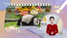 一个仿真玩偶出现在海报中央，正在全神贯注地注视着人类女孩。